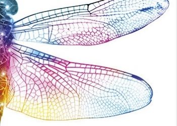 Eben Alexander – Serce świadomości. Podróż neurochirurga w świat zjawisk niewyjaśnionych