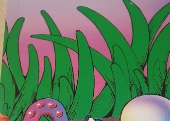 Pier d’Aubrigy – Kamyki i perły