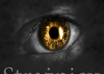 Julia Ciepła – Strażnicy