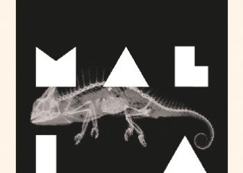 Anna Adamowicz – Animalia