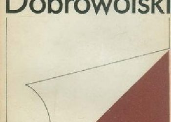 Stanisław Ryszard Dobrowolski – Głupia sprawa