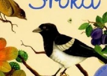 Joanna Liszewska – A kto to? Sroka