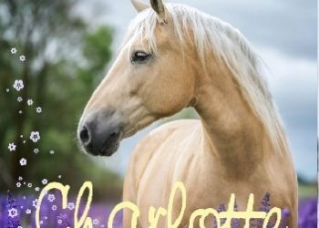 Nele Neuhaus – Charlotte i przyjaciółka od serca