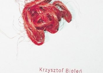 Krzysztof Bieleń – Rysy i wygłady