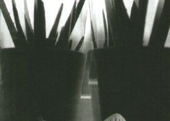 Patrycja Kopacka – Nie wiem