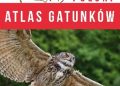 Anna Przybyłowicz, Łukasz Przybyłowicz – Atlas gatunków. Ptaki Polski