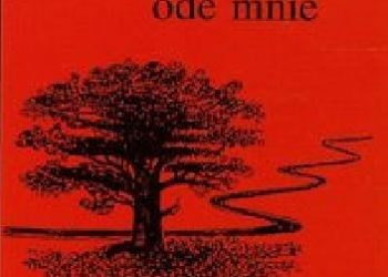 Ludmiła Plett – Przebudzenie rozpoczyna się ode mnie