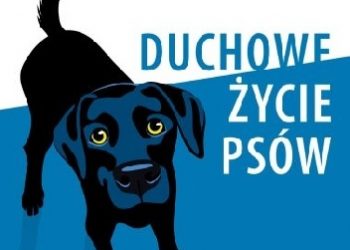 Andrew Root – Duchowe życie psów