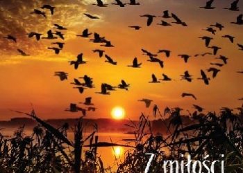 Krzysztof Jarosław Pawłowski – Z miłości do dzikiej przyrody