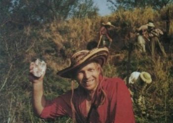 Tony Halik – Moja wielka przygoda