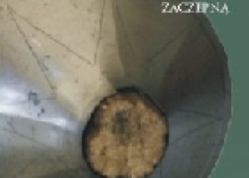 Jan Szymczak – Rycerz z bronią zaczepną