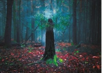 Peternelle van Arsdale – Bestia