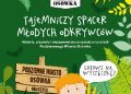 Sylwia Biedroń – Tajemniczy spacer młodych odkrywców