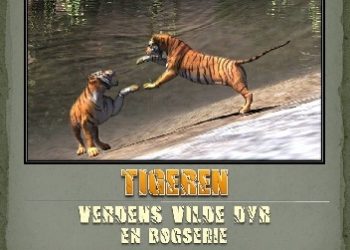 Steven Kinch – Tigeren. Verdens vilde dyr en bogserie