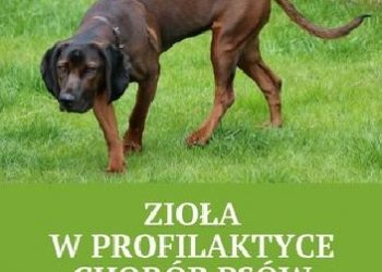 Jarosław Sobolewski – Zioła w profilaktyce chorób psów i kotów