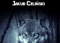 Jakub Celiński – ,,Cienie”