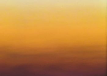 Olgerd Dziechciarz – W Olkuszu, czyli nigdzie