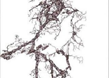 Nelle Harper Lee – To Kill a Mockingbird