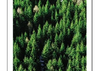 Peter Zralek – Szwecja