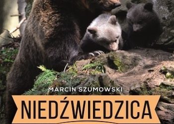 Marcin Szumowski – Niedźwiedzica z Baligrodu i inne historie Kazimierza Nóżki