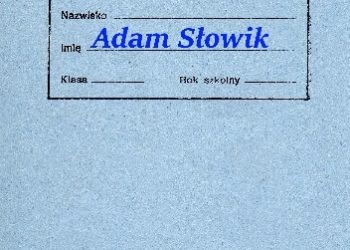 Adam Słowik – Polityk roku